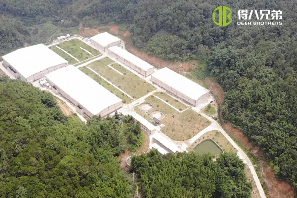 ãSistema di alimentazione liquidaãGuangdong Zhaoqing 20000 ingrasso 10000 allevamento di suini svezzamento.