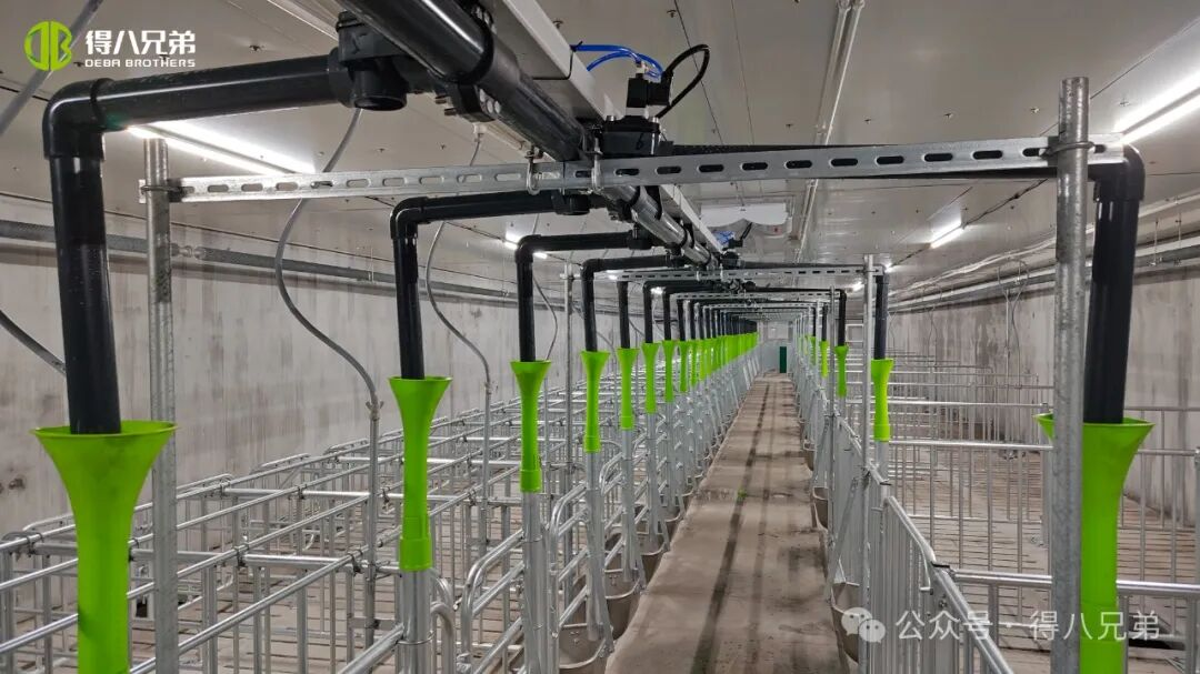 Deba Brother Licha Base dimostrativa per l'allevamento e la coltivazione di suini neri - Operazioni integrate di 2.000 scrofe, 50.000 macellazioni annuali, 67.000 metri quadrati