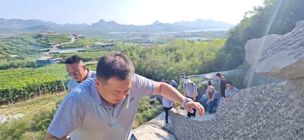 Deba Brothers